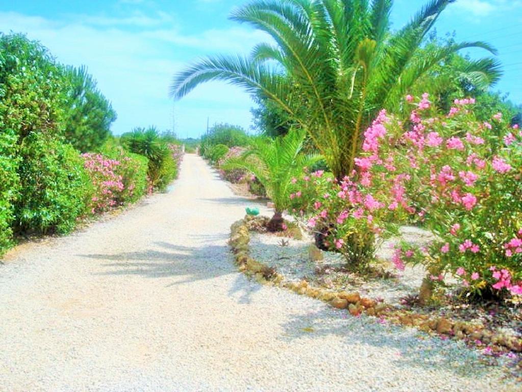 Quinta Casalinho Villa Albufeira Ngoại thất bức ảnh